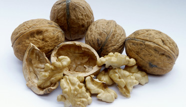 Walnuts Nuts