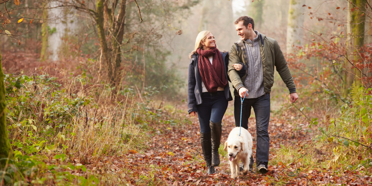 Couple Walking Dog Through Winter Woodland