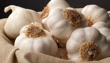 garlic