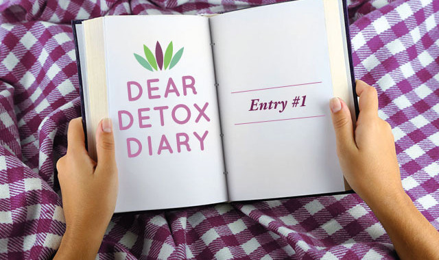 Dear Diary Detox